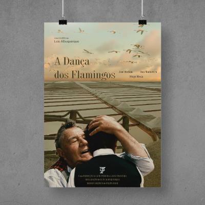Dança dos flamingos